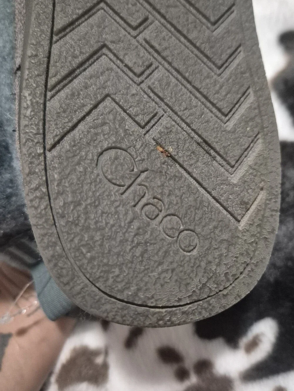 Chaco comfortable women